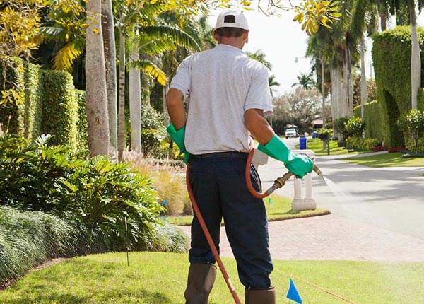 About Addison ME Pest Control Pros